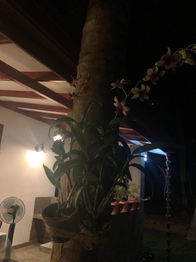 Lohas Villa Hiriketiya Dikwella Luaran gambar