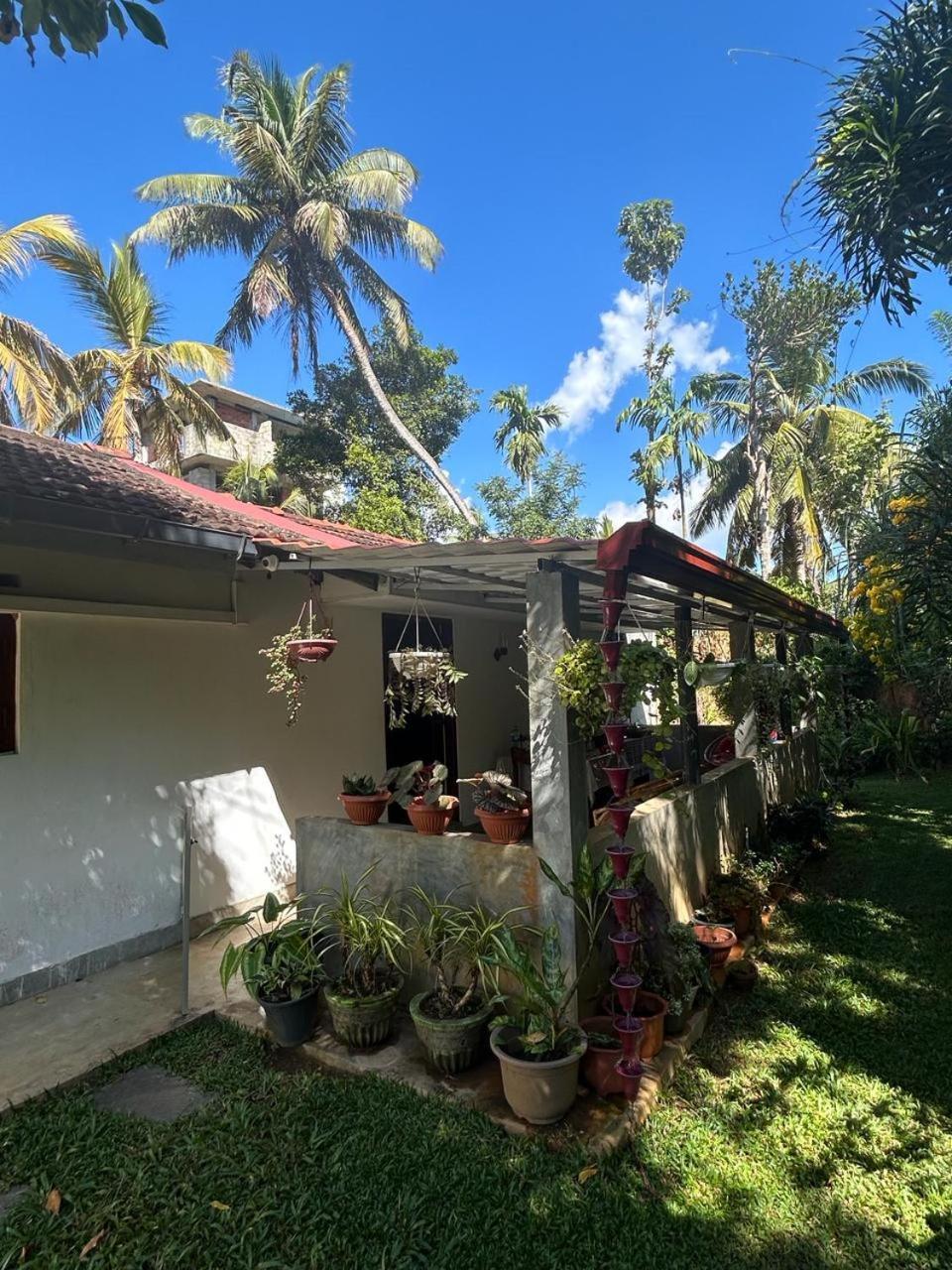 Lohas Villa Hiriketiya Dikwella Luaran gambar